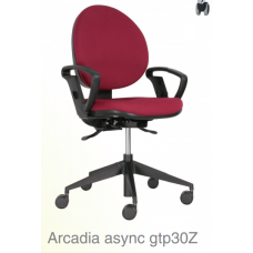 Arcadia async gtp30Z