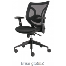Brise gtp55Z