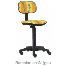 Bambino ecsN (gts)