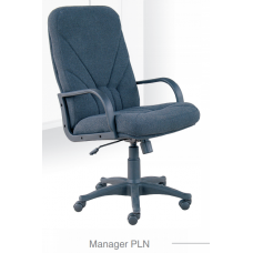 Manager PLN