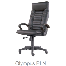 Olympus PLN