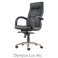 Olympus Lux Alu
