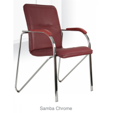 Samba Chrome